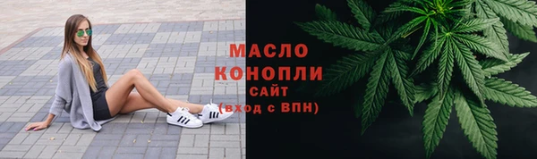 гашик Бородино