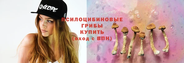 гашик Бородино