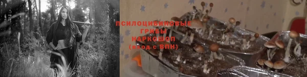 гашик Бородино