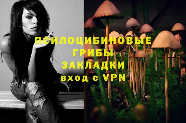 мескалин Бронницы