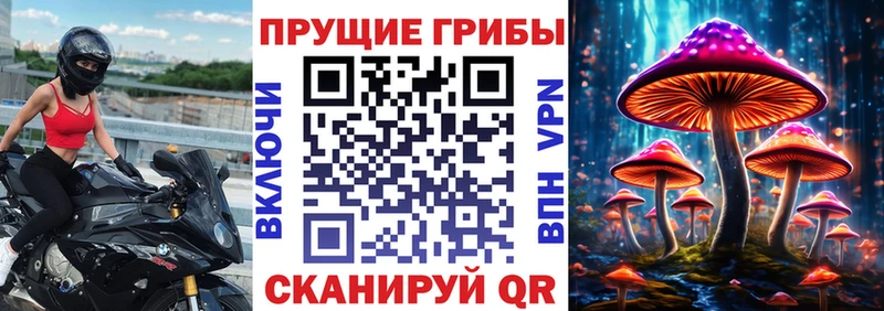 Галлюциногенные грибы Psilocybe  Купить  Канск 